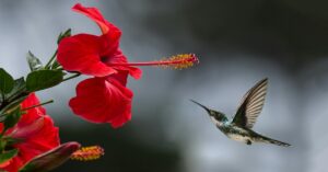 4 Effective Tips for Mastering the Art of High-Quality Photography
