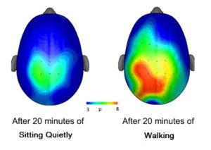 effect on brain of walking