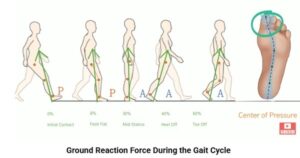 lower leg movement