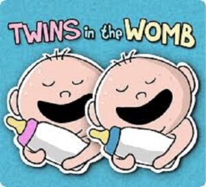 a dialogue between twins